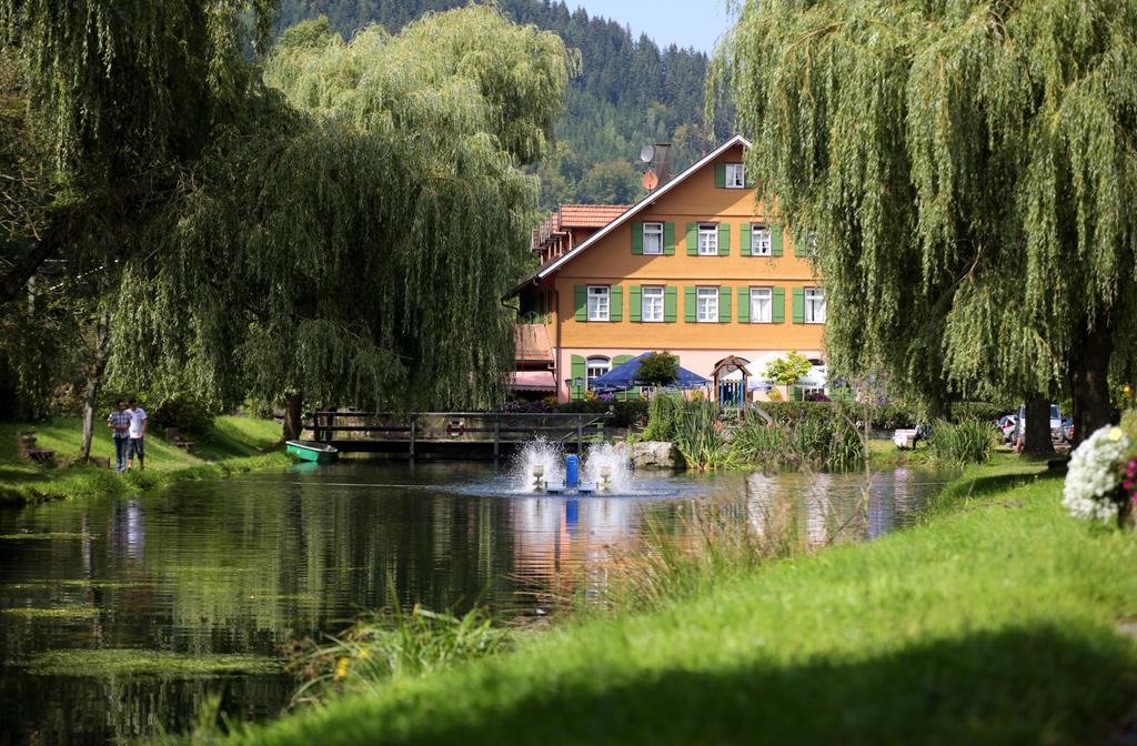 Hotel Zur Alten Muehle Нойенбюрг Экстерьер фото